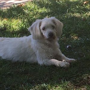 Meet your Posher, Alan